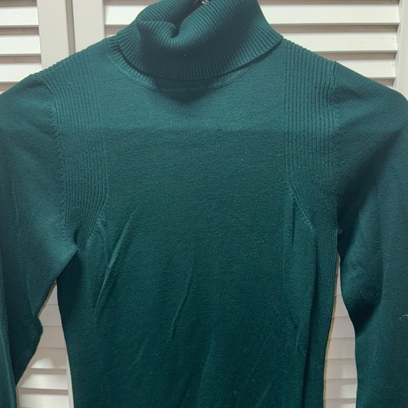 The Limited Dark Green Turtleneck Sweater - Picture 2 of 3